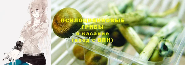 гидропоника Дмитров