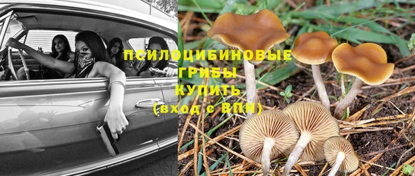 кристаллы Дмитриев
