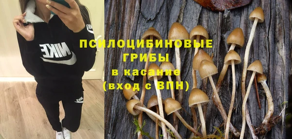 кристаллы Дмитриев