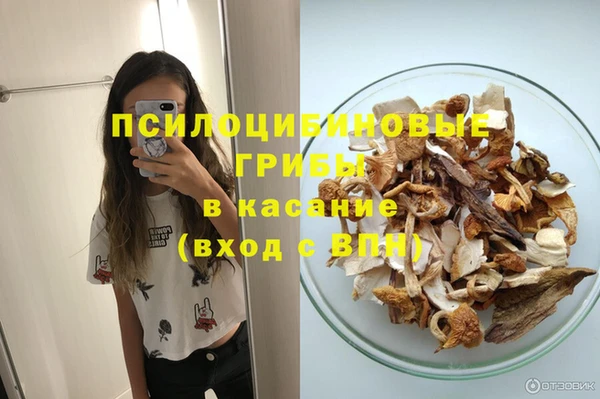 гидропоника Дмитров