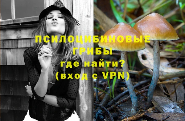 мяу мяу мука Дмитровск