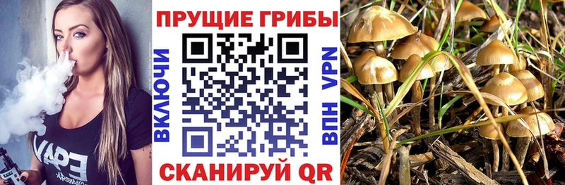 Купить закладки  Чапаевск  Псилоцибиновые грибы мухоморы 